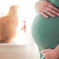 Токсоплазмоз при беременности — симптомы и причины заболевания