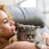 Toxoplasmosis in humans: symptoms and treatment methods