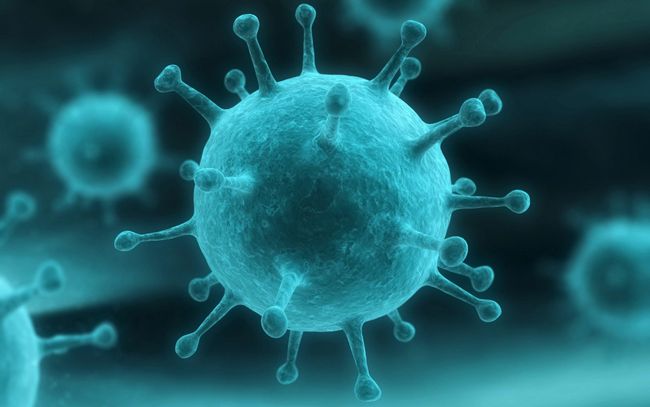Сейчас медицине известны 5 разновидностей вируса, 4 из которых представляют угрозу для человека