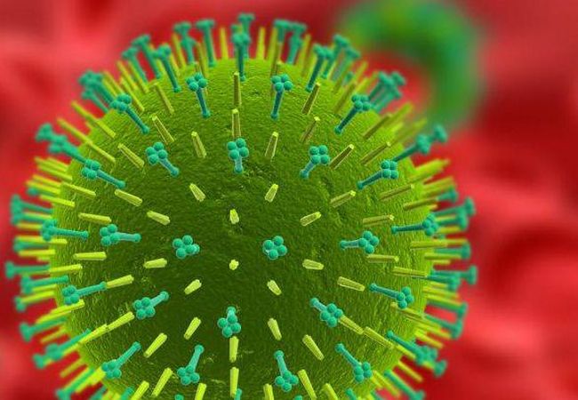 Заболевание краснуха вызывается вирусом рода Rubivirus