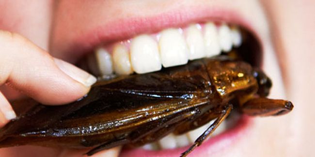 Поедать тараканов во сне - предаваться пагубным страстям