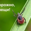 The remedy for ticks processing portion – and a list of precautions