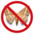 How to get rid of moths in the closet and in the kitchen? The most effective means of